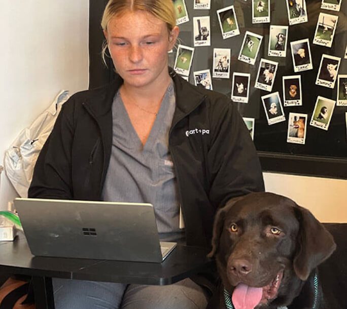 Sitting At Computer With Dog
