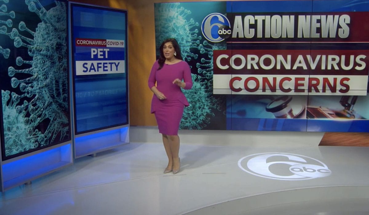 Abc Action News Coronavirus And Your Pet