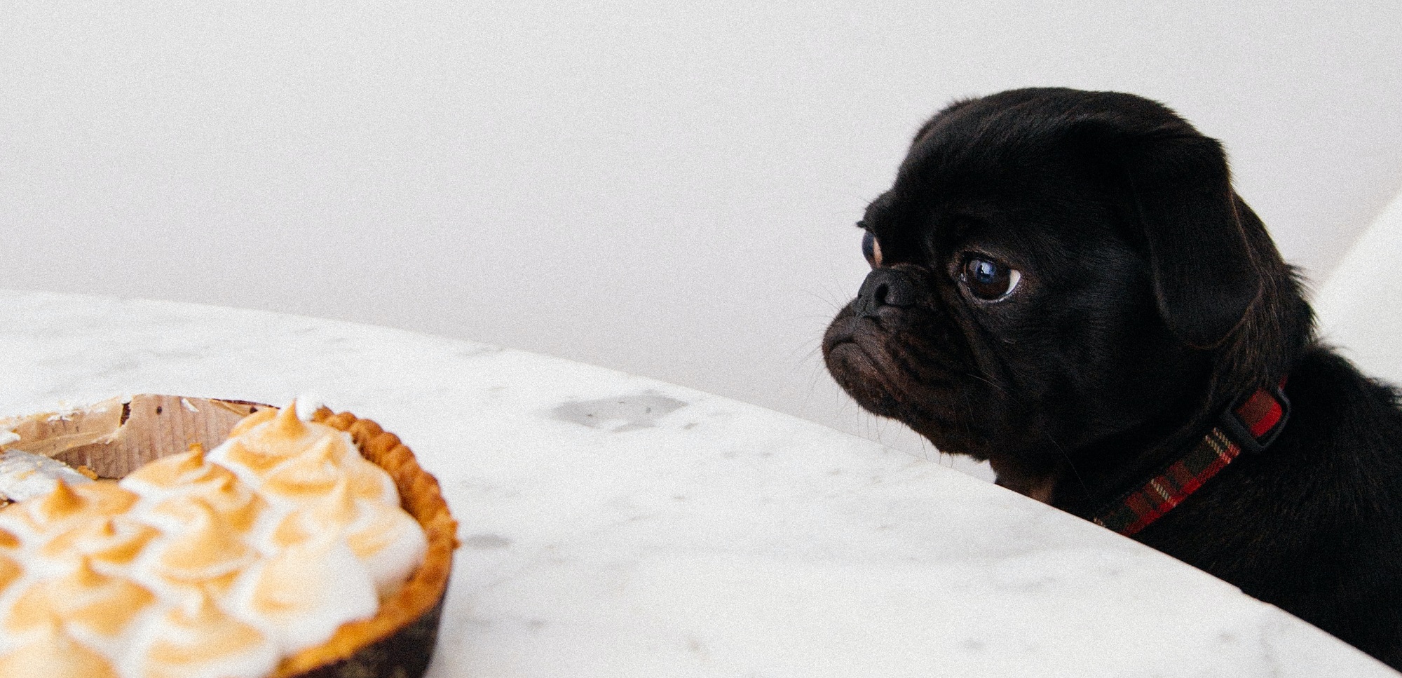 Thanksgiving Dog Treats