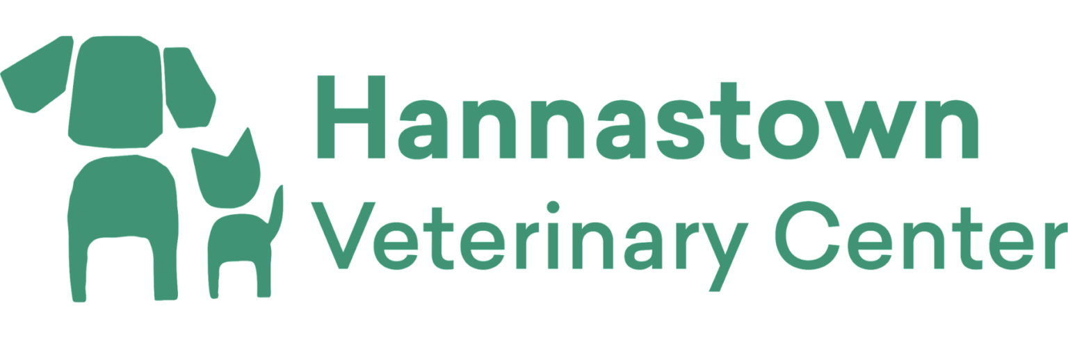 Veterinarian in Greensburg, PA | Hannastown Veterinary Center