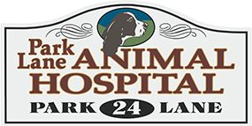 Veterinarian in New Milford, CT | Park Lane Animal Hospital