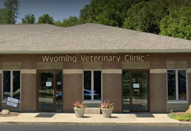 Veterinarian and animal hospital in Cincinnati, OH