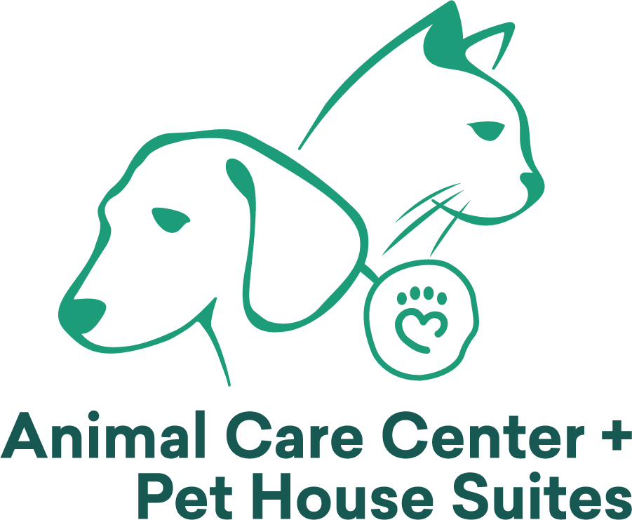 Veterinarian and Animal Hospital in Warrenton, VA | Heart + Paw