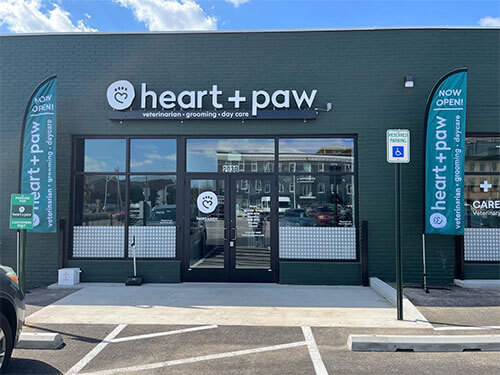 Veterinarian and Animal Hospital in Baltimore, MD | Heart + Paw