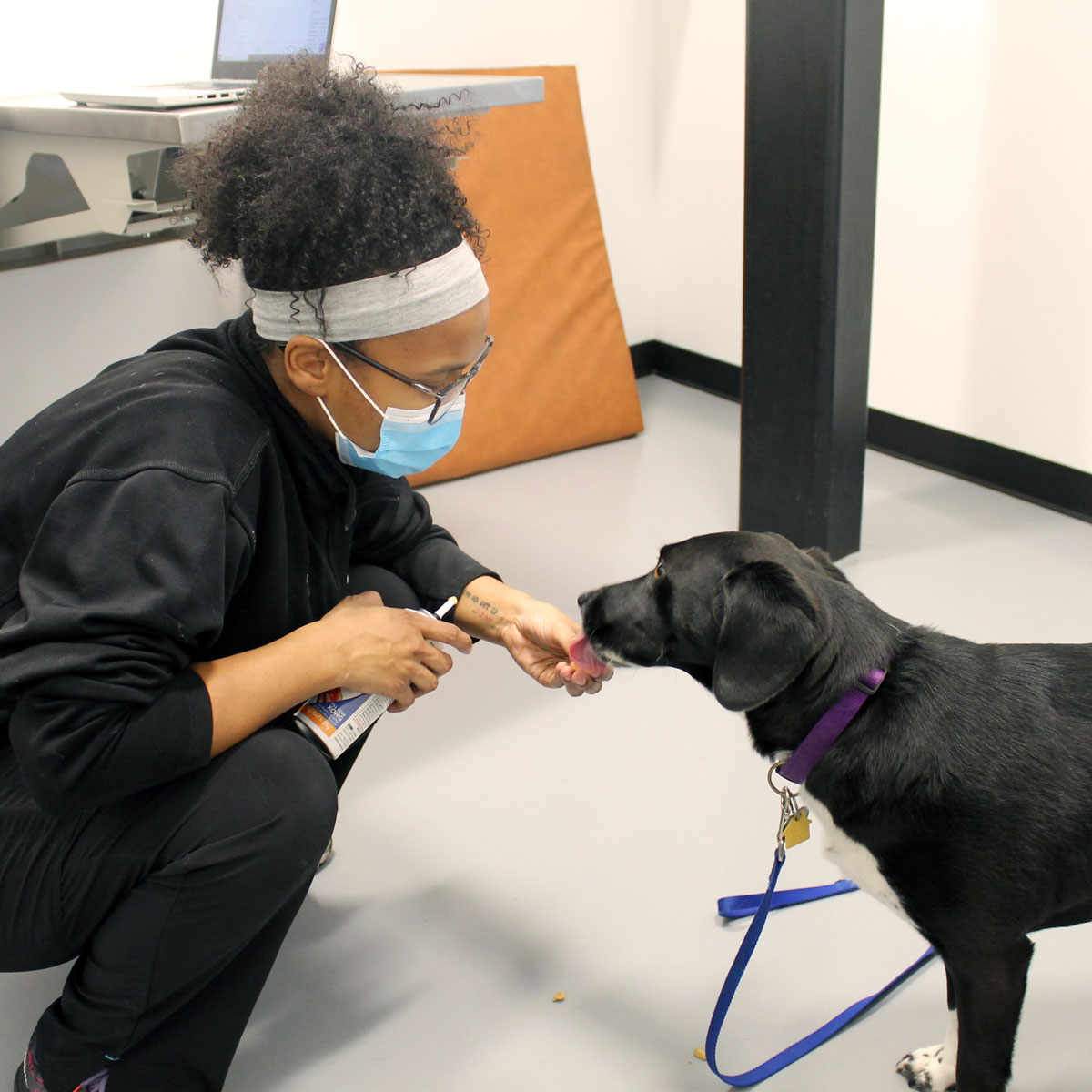 Veterinary Assistant Giving Dog Whipped Cream