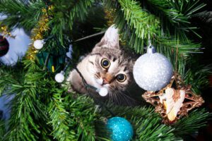 cat proof christmas tree