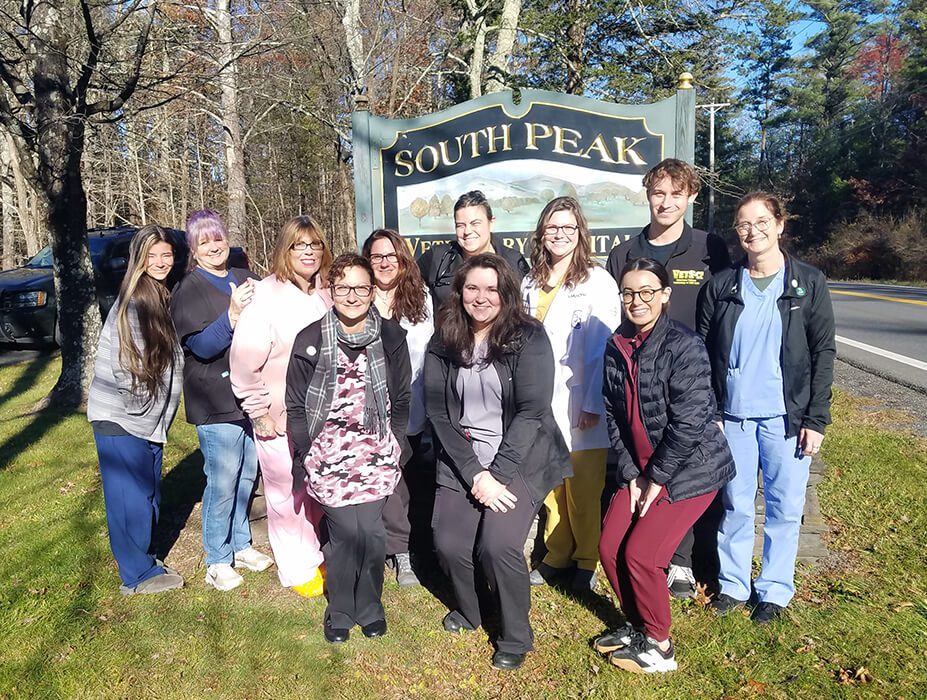 South Peak Veterinary Team