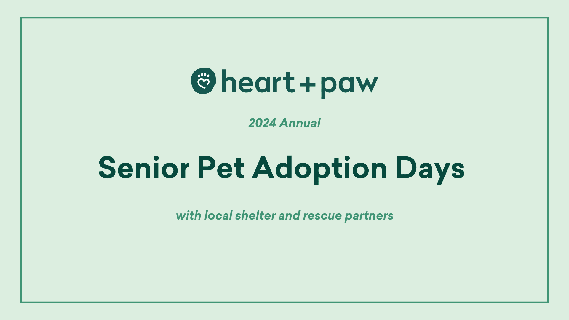 Senior Pet Events