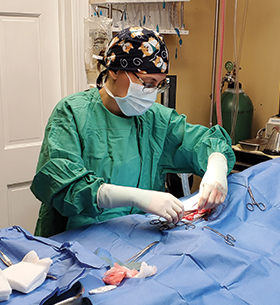 Dr Everett Surgery